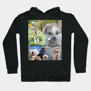 We are beautiful, everyone knows it! Hoodie